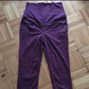 Purple cargo thyme Capri